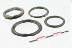 Foto von Bronzering (NHMW-PRAE-025418)